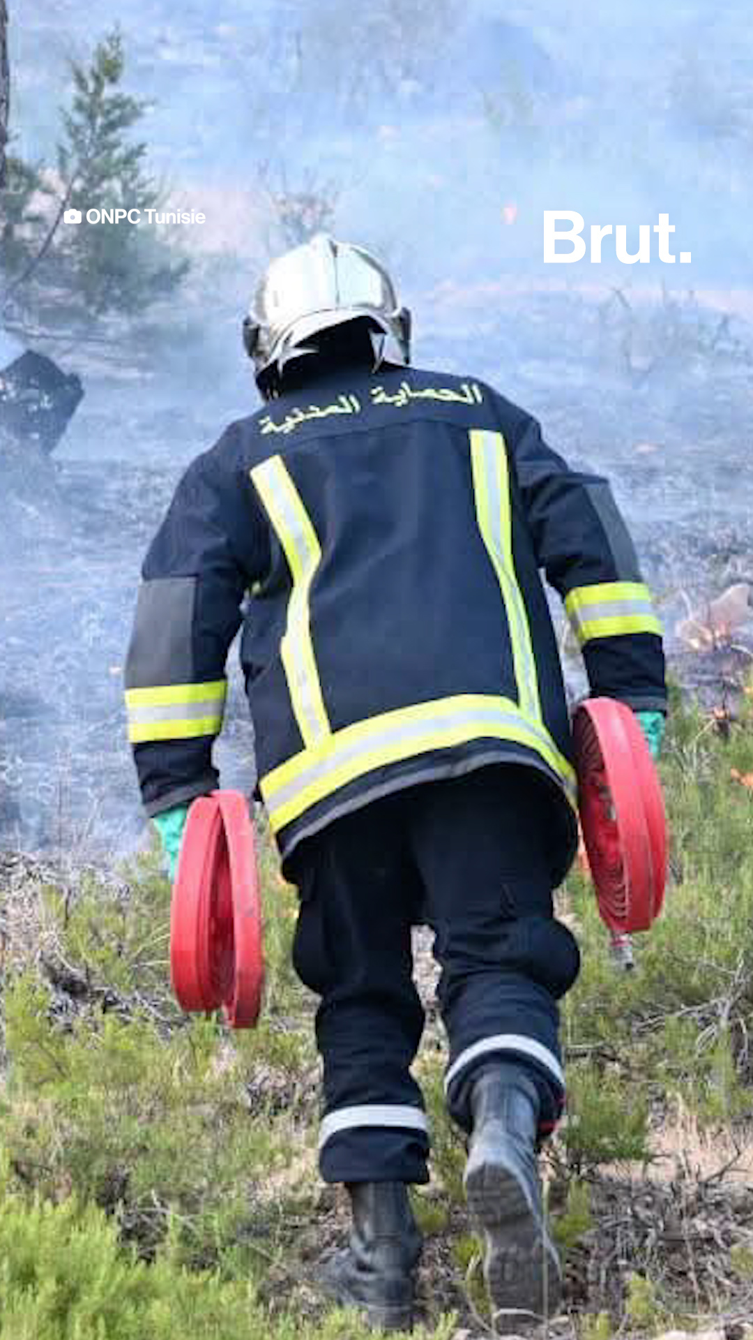 l-algerie-le-maroc-et-la-tunisie-touches-par-de-violents-incendies-de-foret