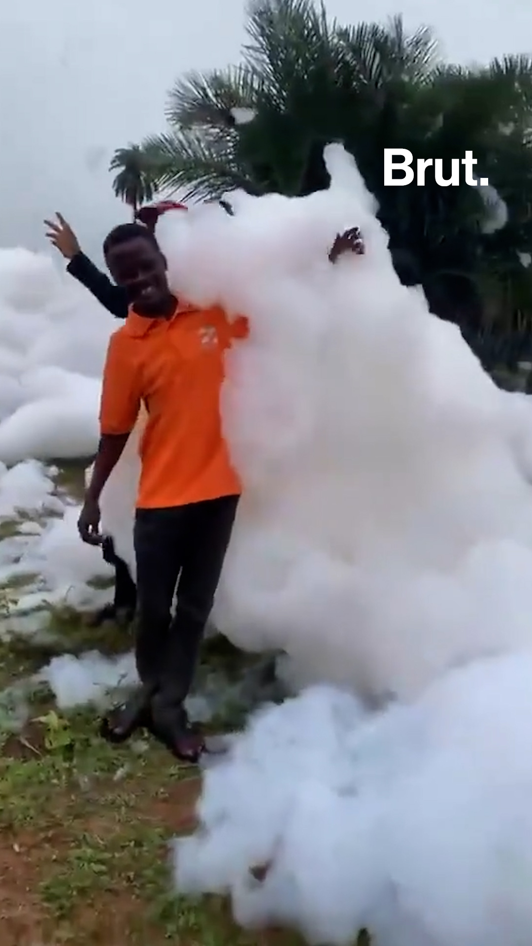 🇳🇬 Nigeria : une étrange mousse blanche apparaît sur une autoroute.