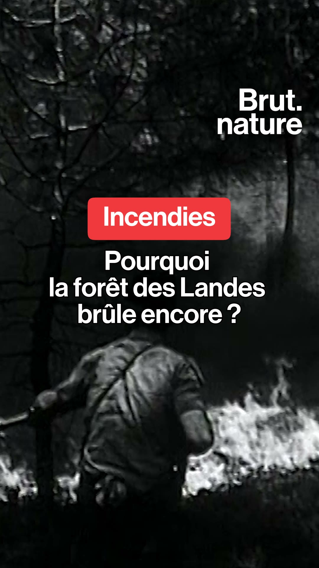 Pourquoi la forêt des Landes brûle encore ?