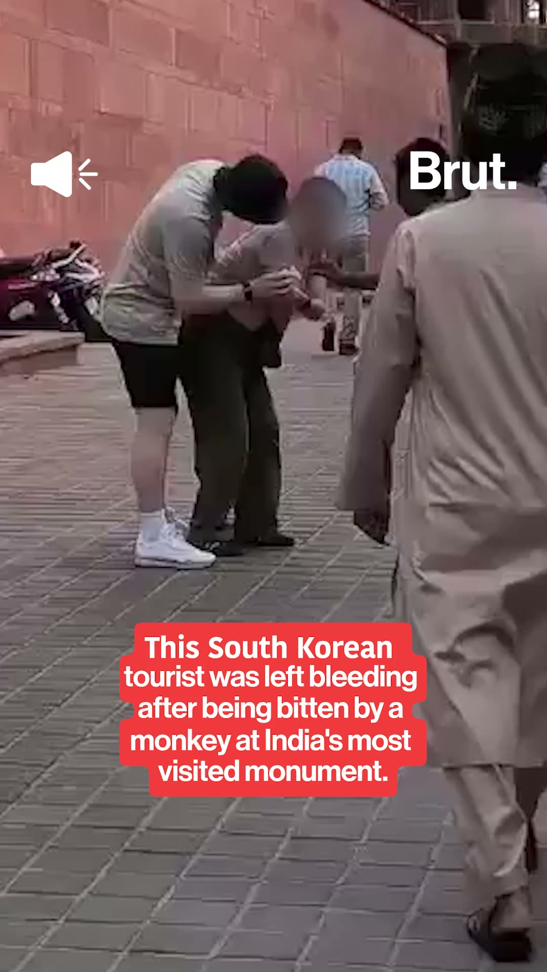 South Korean tourist left bleeding after being bitten by monkey at Taj Mahal