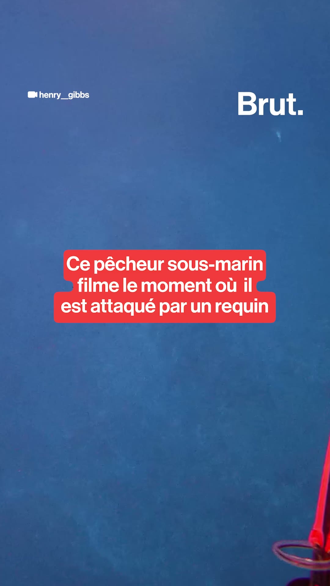 Ce pêcheur sous-marin filme le moment où il est attaqué par un requin.