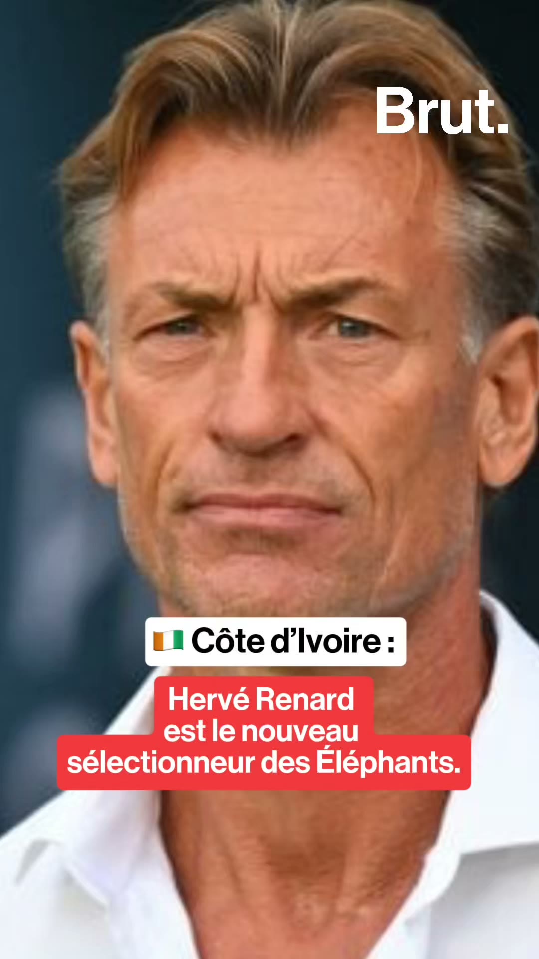 🇨🇮 Côte d’Ivoire : Hervé Renard retrouve les Éléphants
