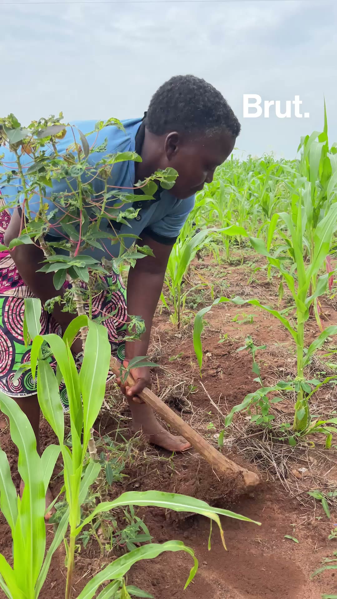benin-a-la-rencontre-des-agricultrices-du-village-de-tori