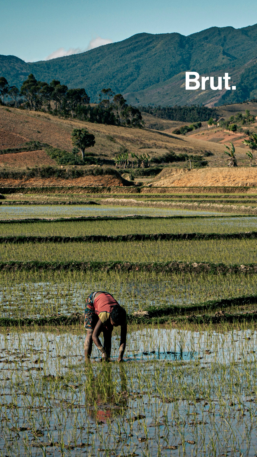 madagascar-l-etat-recupere-les-terrains-appartenant-aux-anciens-colons