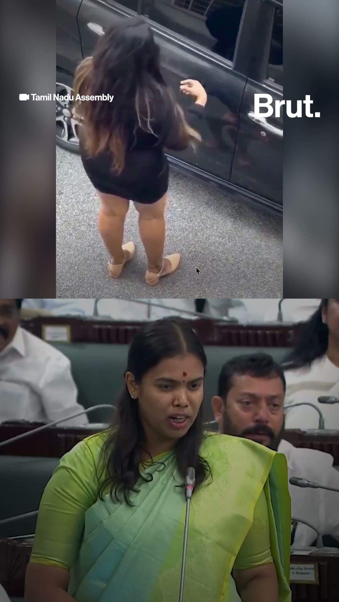 S Keerthana Viral Video: Malaysian Woman Mistaken For Tamil Nadu Minister