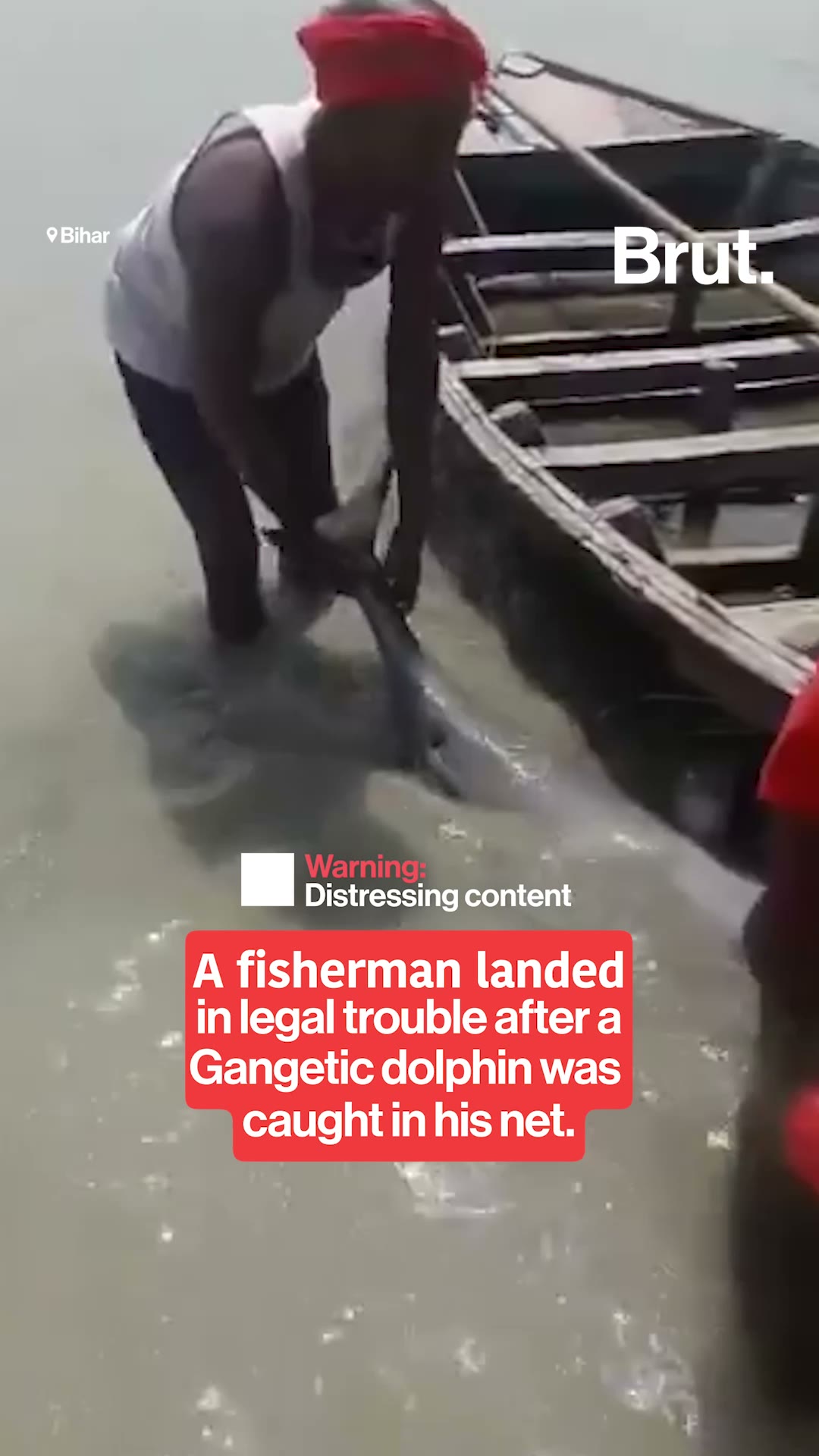 gangetic-dolphin-gets-trapped-inside-net-in-bihar