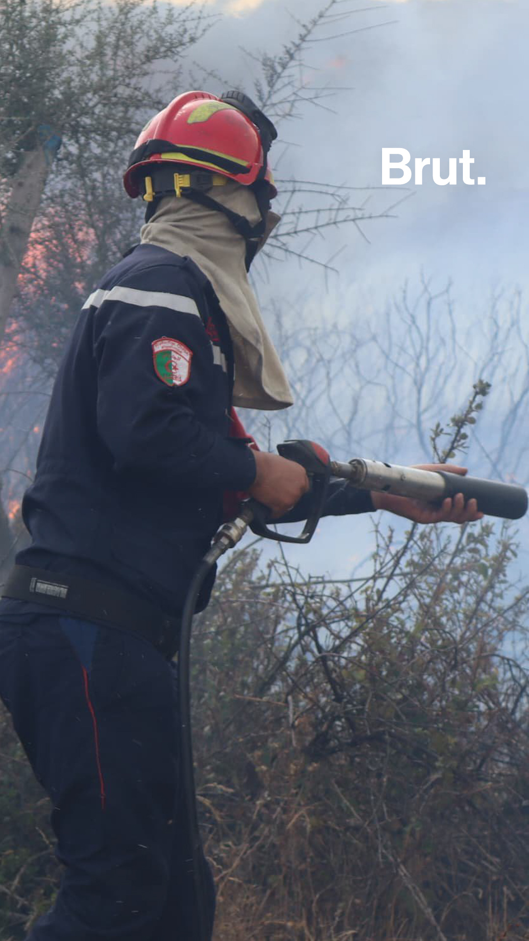 l-algerie-et-la-tunisie-confrontees-a-de-violents-incendies