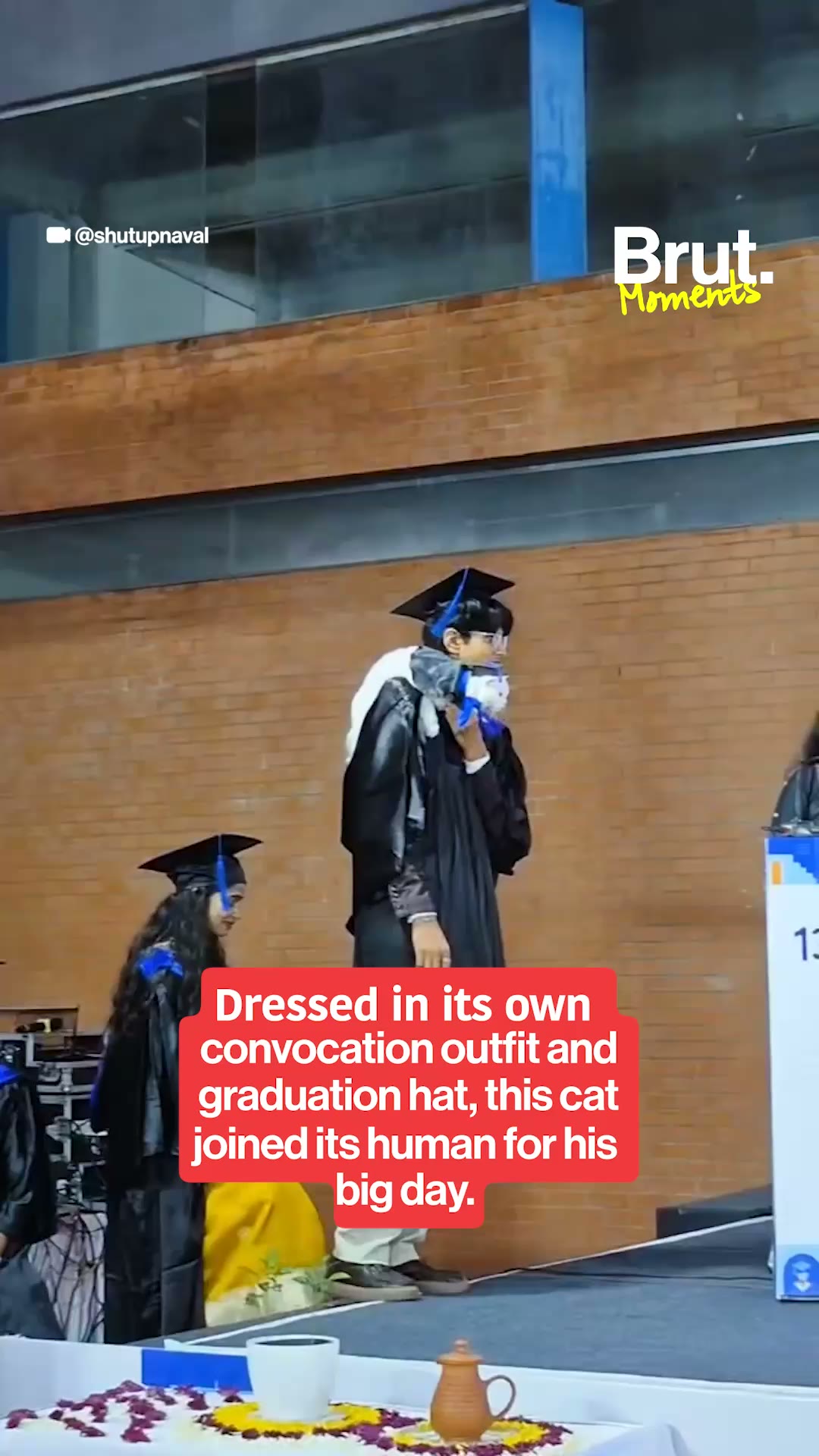 student-brought-cat-to-convocation