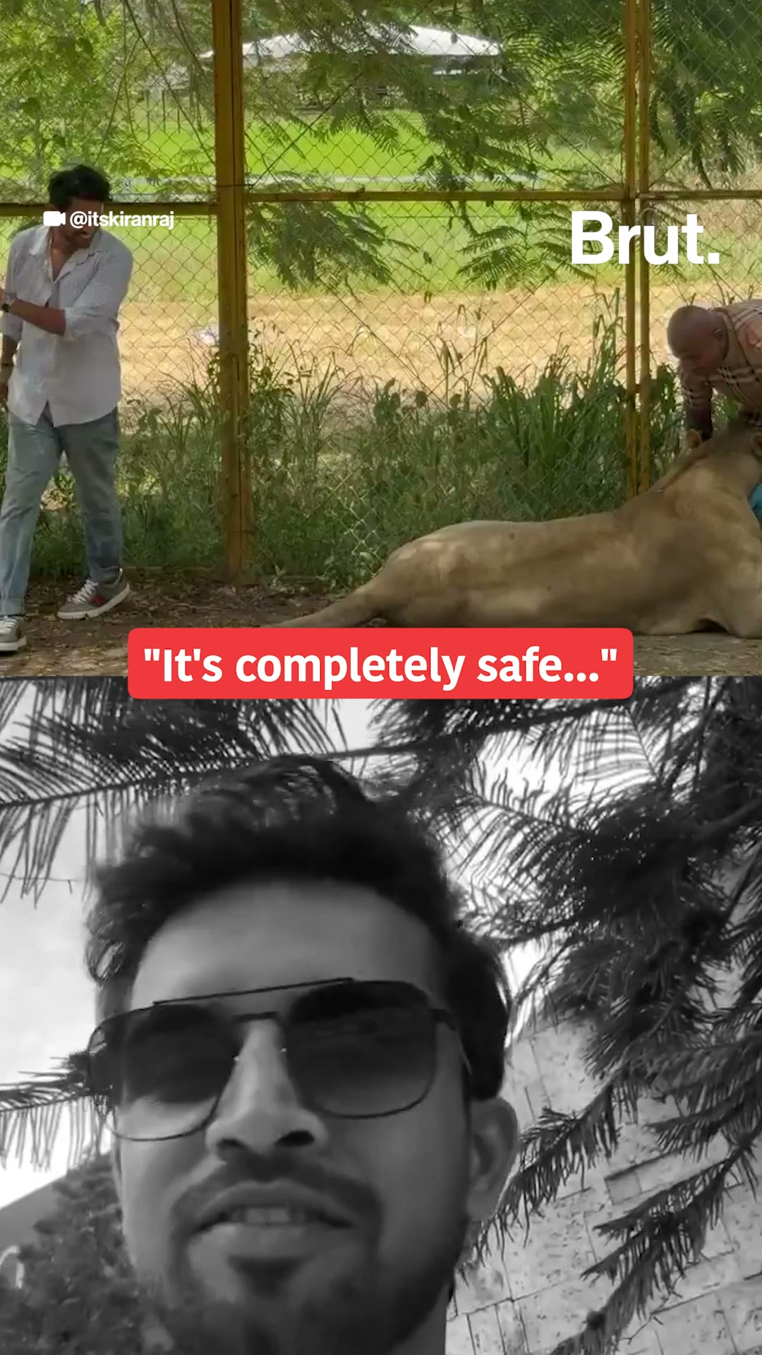 Kannada actor Kiran Raj clarified after a video of him being attacked by a lion went viral.