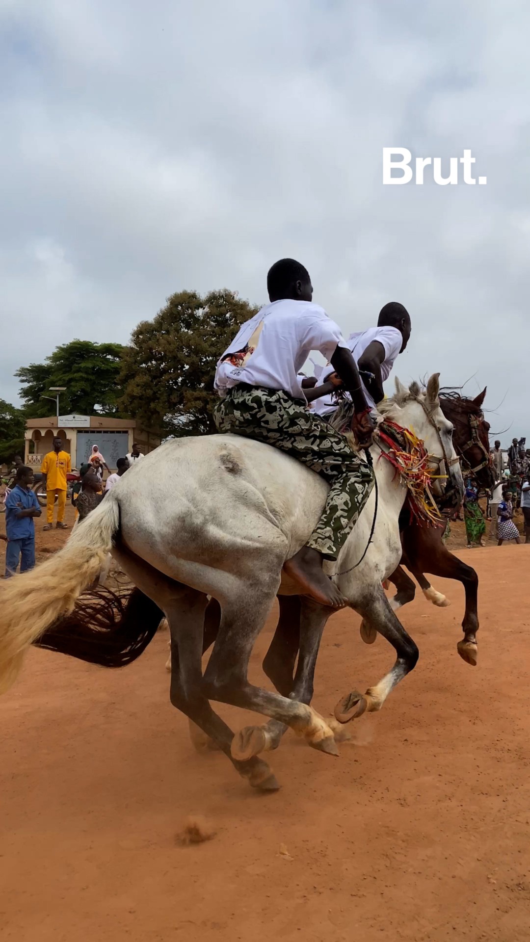 🇧🇯À la GAANI, ce cavalier perpétue sa passion du cheval