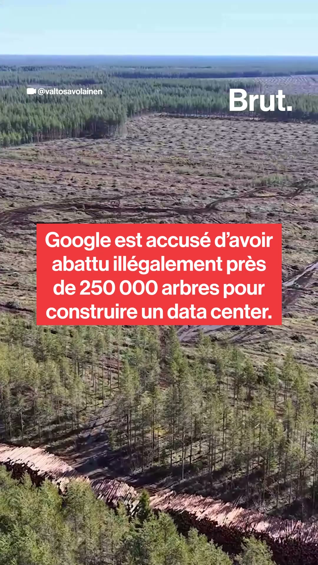 Des forêts finlandaises rasées par Google pour des data centers