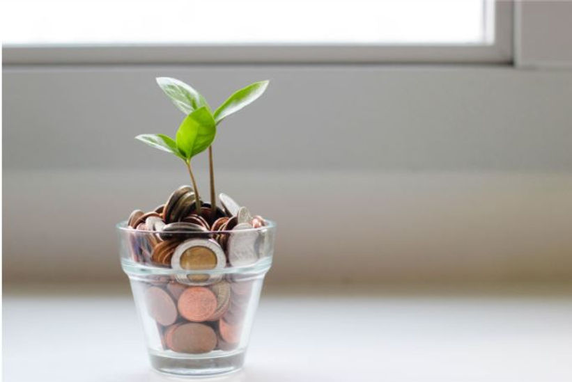 Plant pod with coins