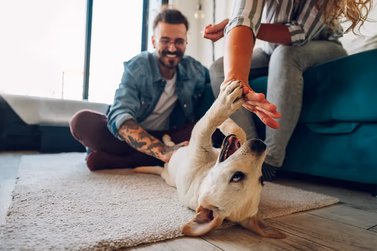 A happy couple playing with their dog indoors on a rug, representing the pet-friendly apartment community at Alton Central Park in Port St. Lucie, FL.