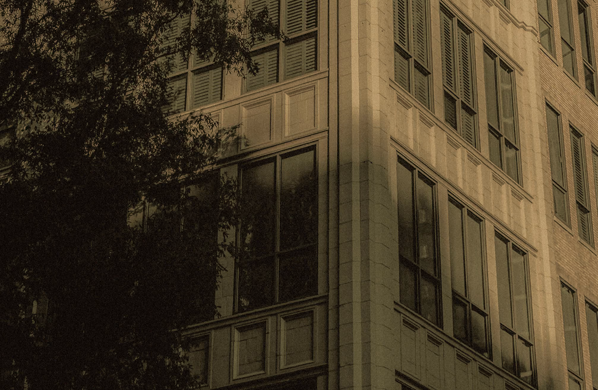 Corner of a tall building with large rectangular windows and decorative paneling, partially obscured by tree branches in shadow.