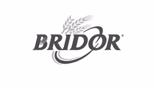 Logo Bridol