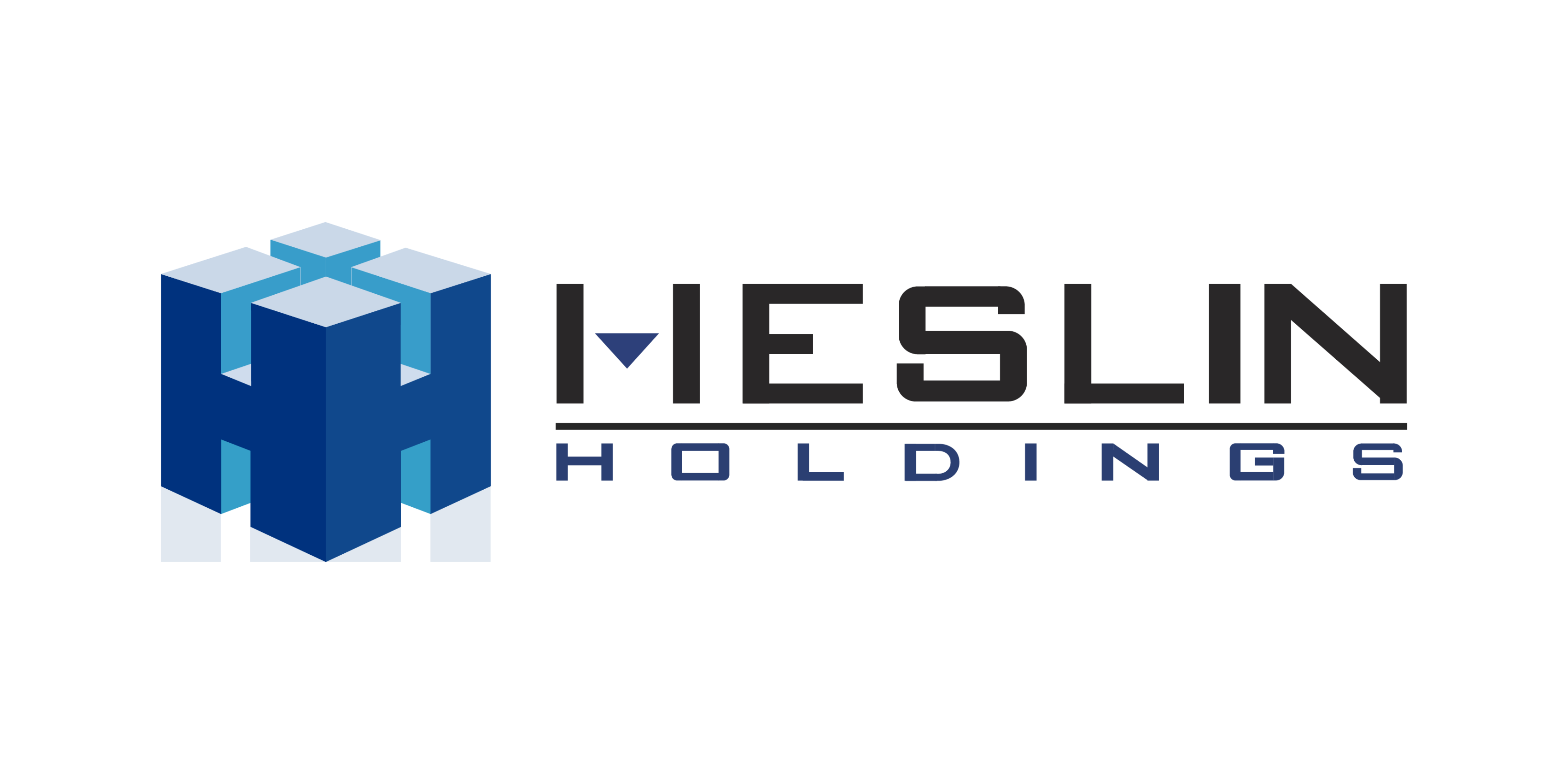 Heslin Holdings logo