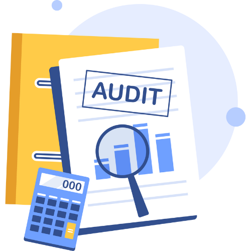 Audit Solutions icon