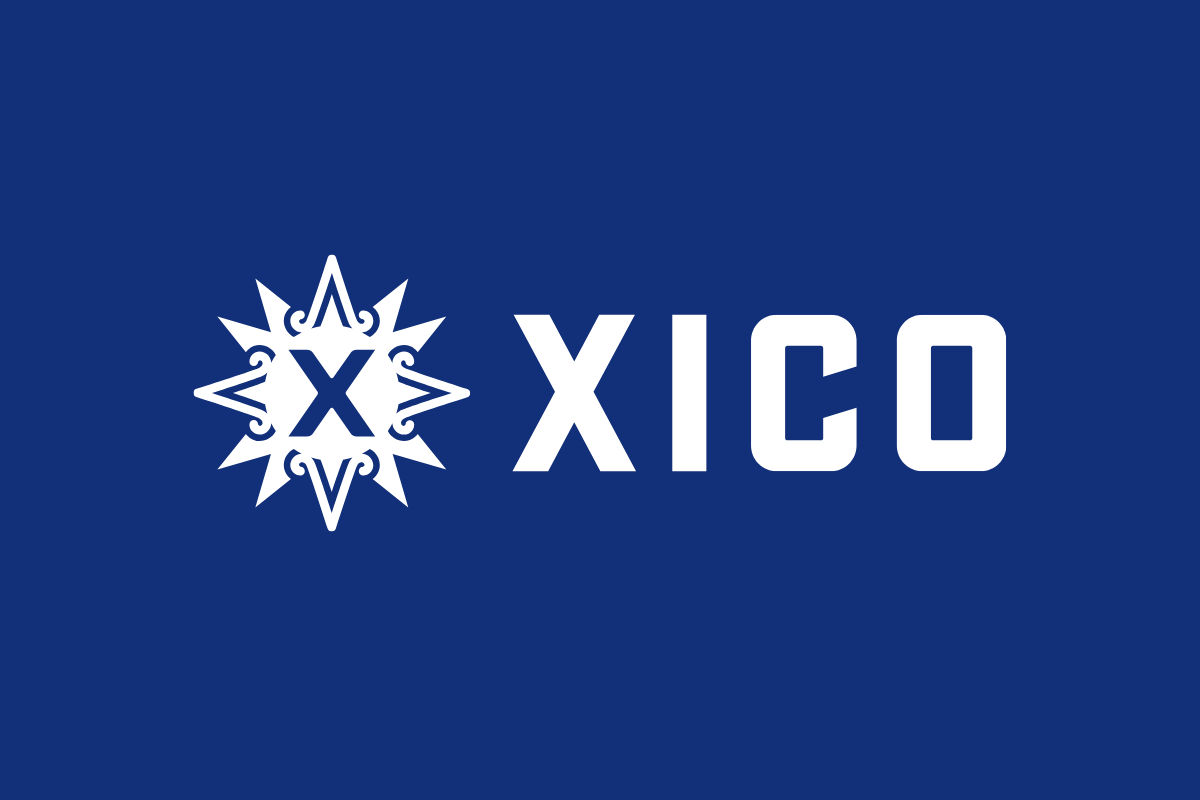 Xico social media case study blog image