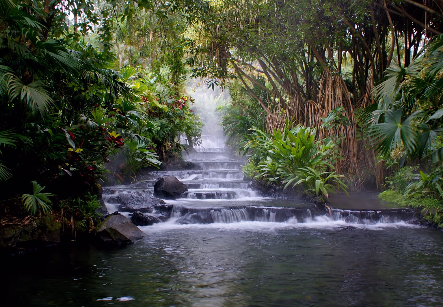 Stepped natural springs flowing through a lush tropical jungle, surrounded by vibrant green foliage and mist rising from the water.