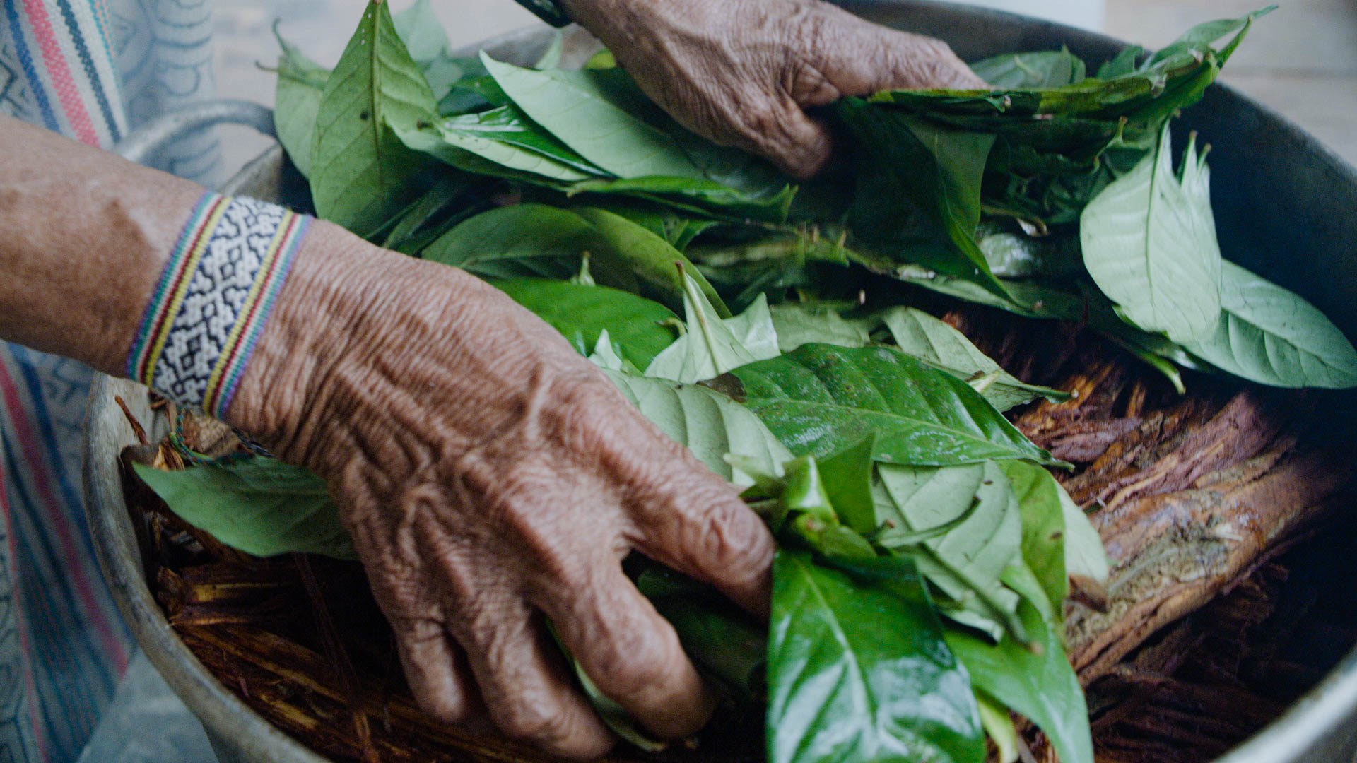 Authentic Shipibo brewing Ayahuasca. 
