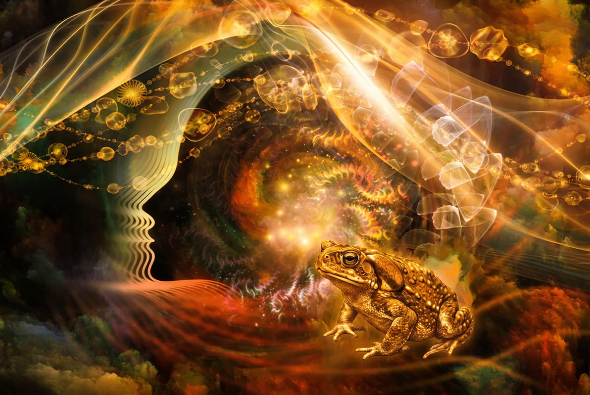 Artistic image of a woman's profile, a psychedelic journey, and the Sapo toad