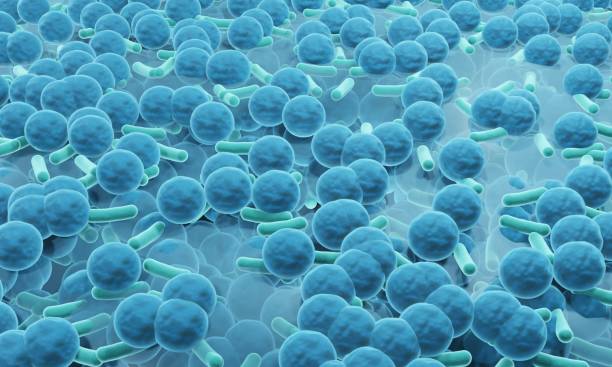 Biofilm