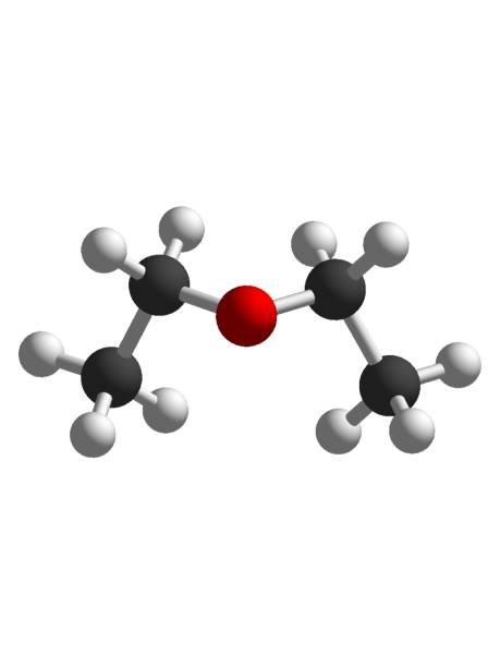 Biofilm