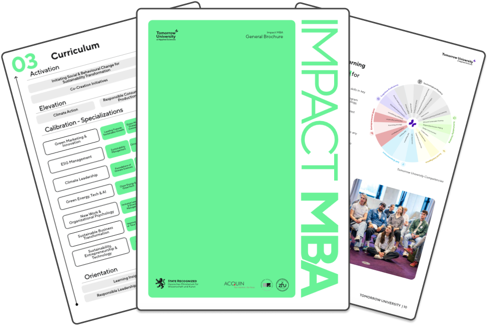Illustration of the brochure for the Impact MBA program.