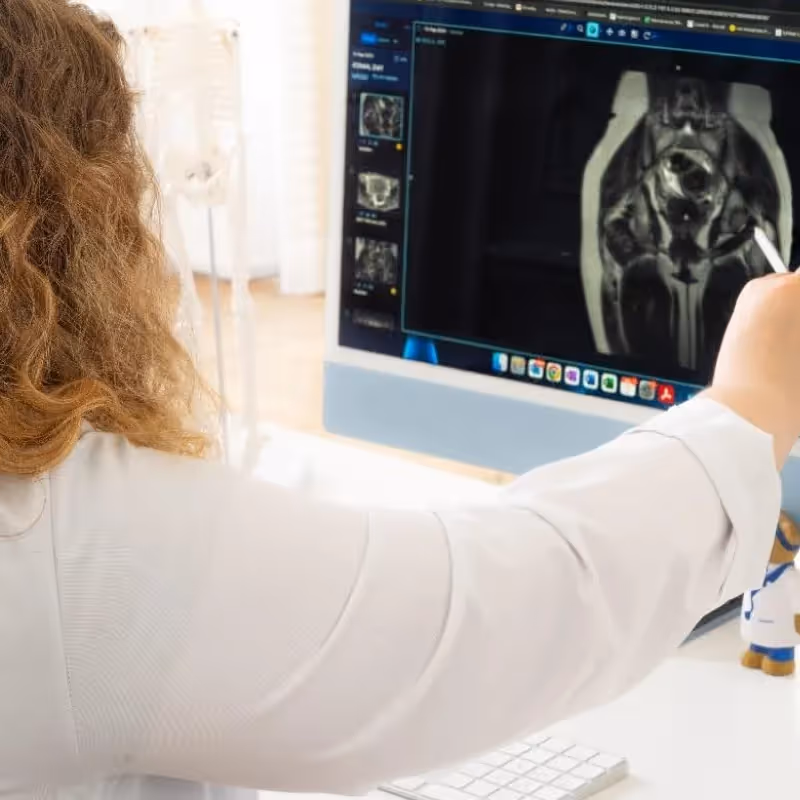 Médecin spécialiste analysant une imagerie médicale à distance via un logiciel de téléexpertise.