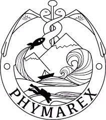 Phymarex