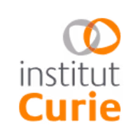 Institut Curie