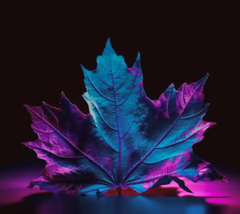 Ai Image