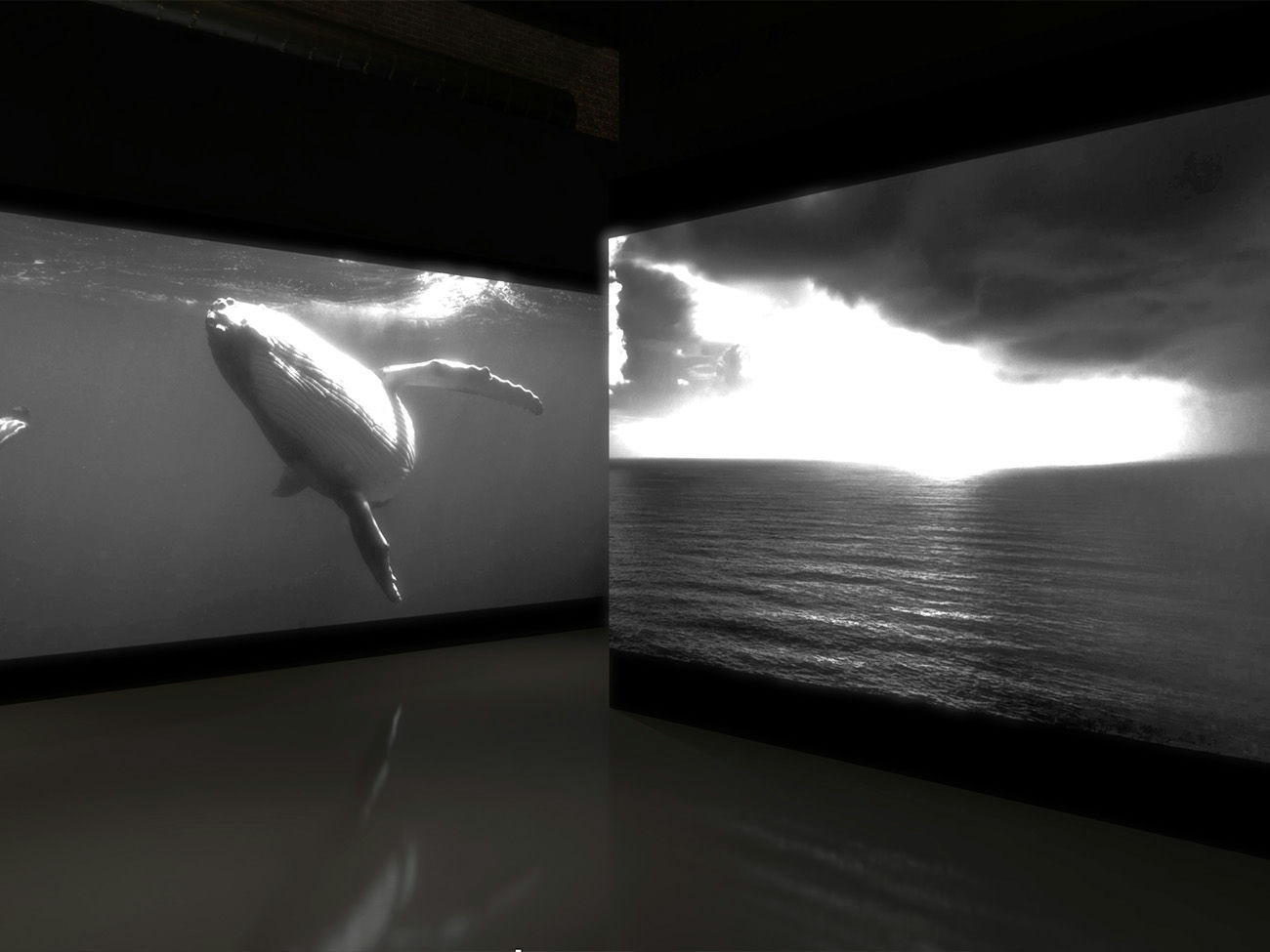 Vue d’ensemble de l’événement Armani Beauty avec diffusion visuelle immersive en salle.