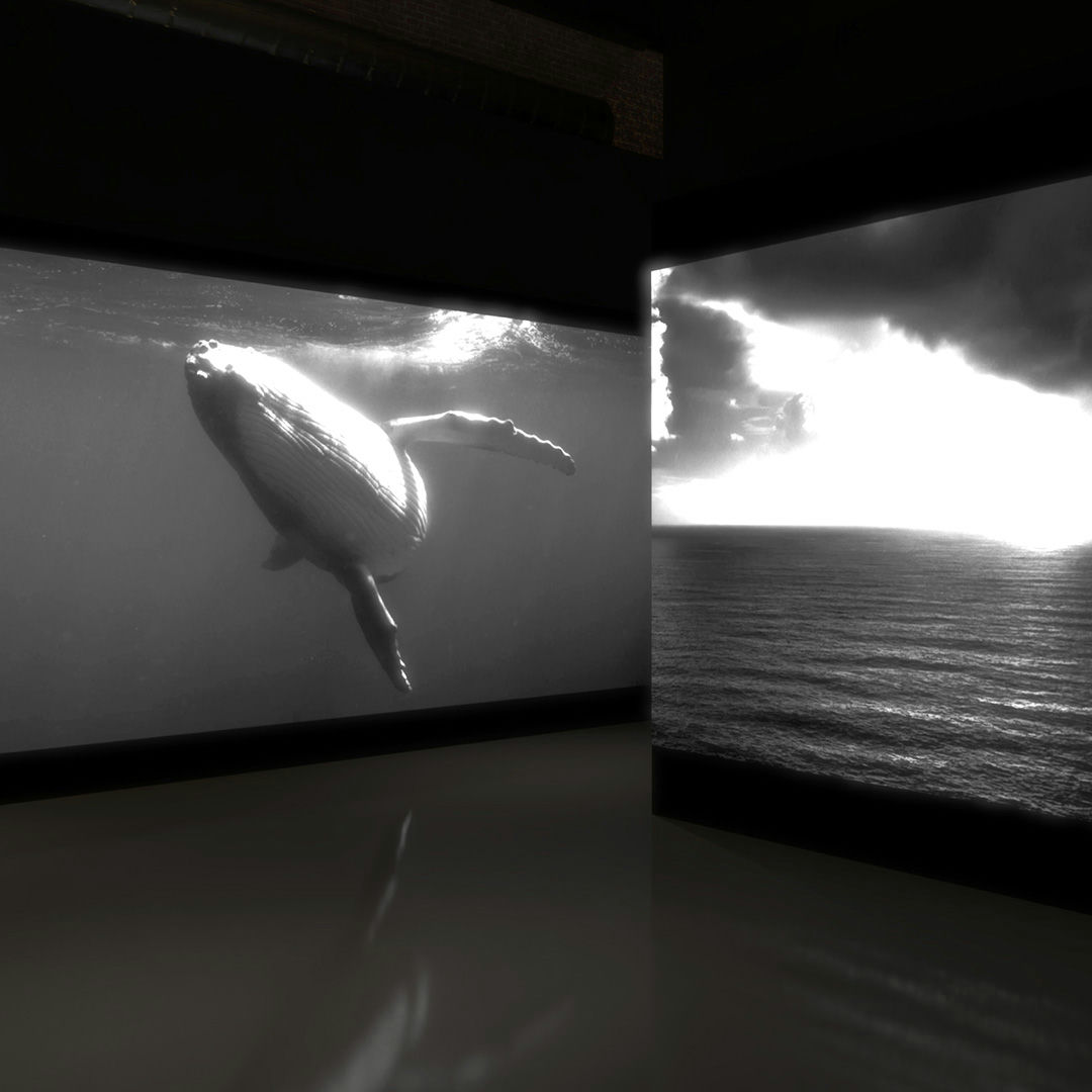 Détails des assets visuels événementiels conçus pour l’univers Armani Beauty.