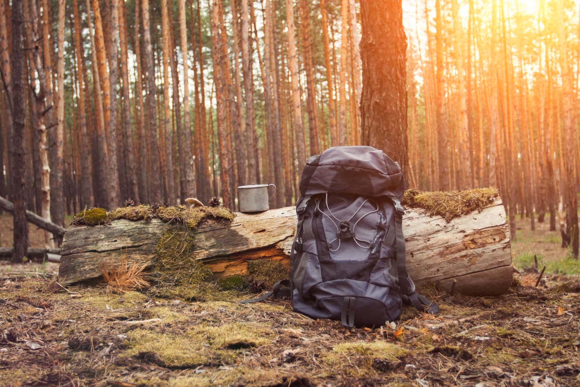 Bästa ryggsäcken för dagsvandring 2025 - bäst i test