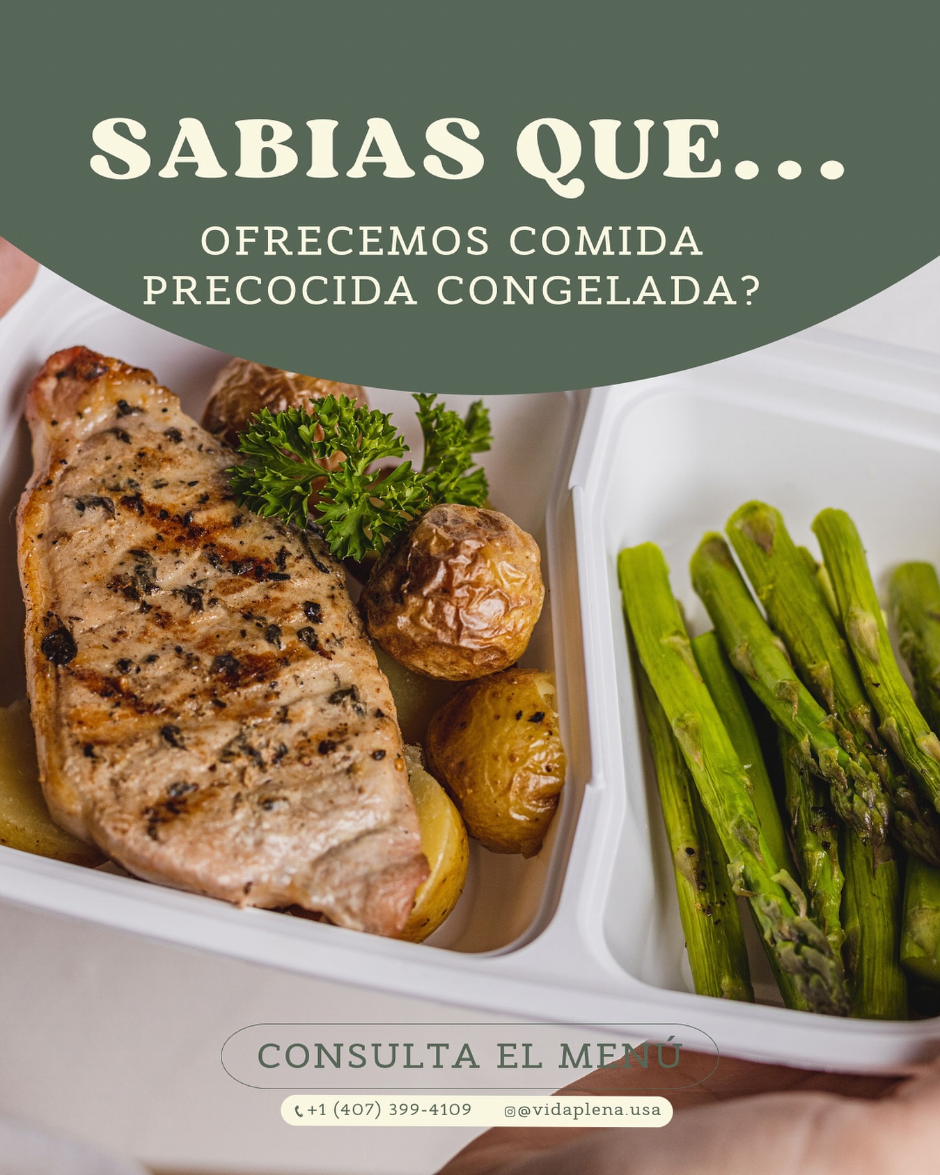 comida precocida congelada vida plena