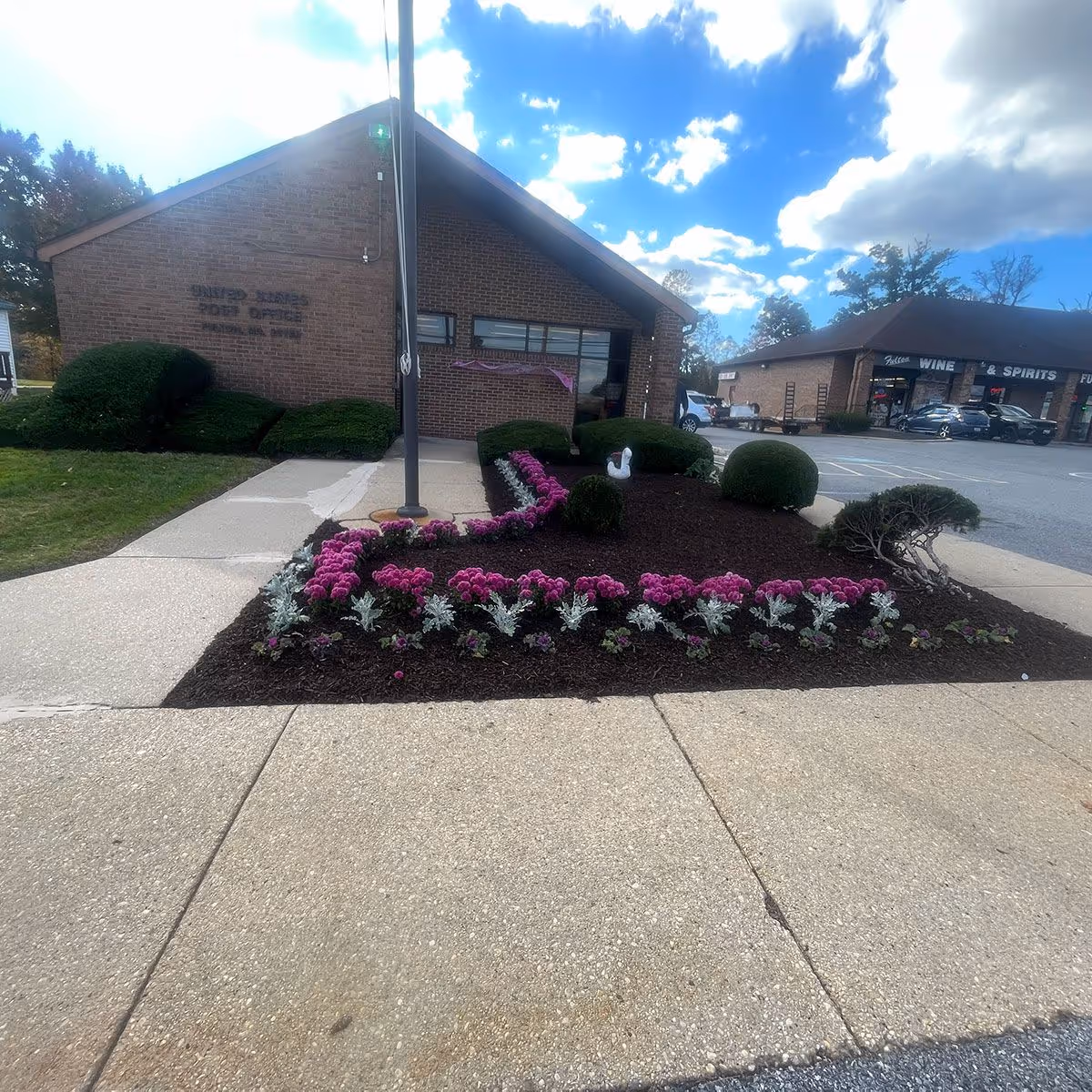 Expert flower planting and garden care near me