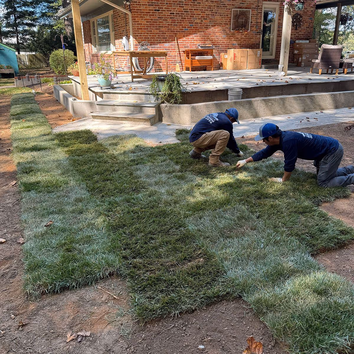 Sod installation by James Creek Lawn and Landscape near me