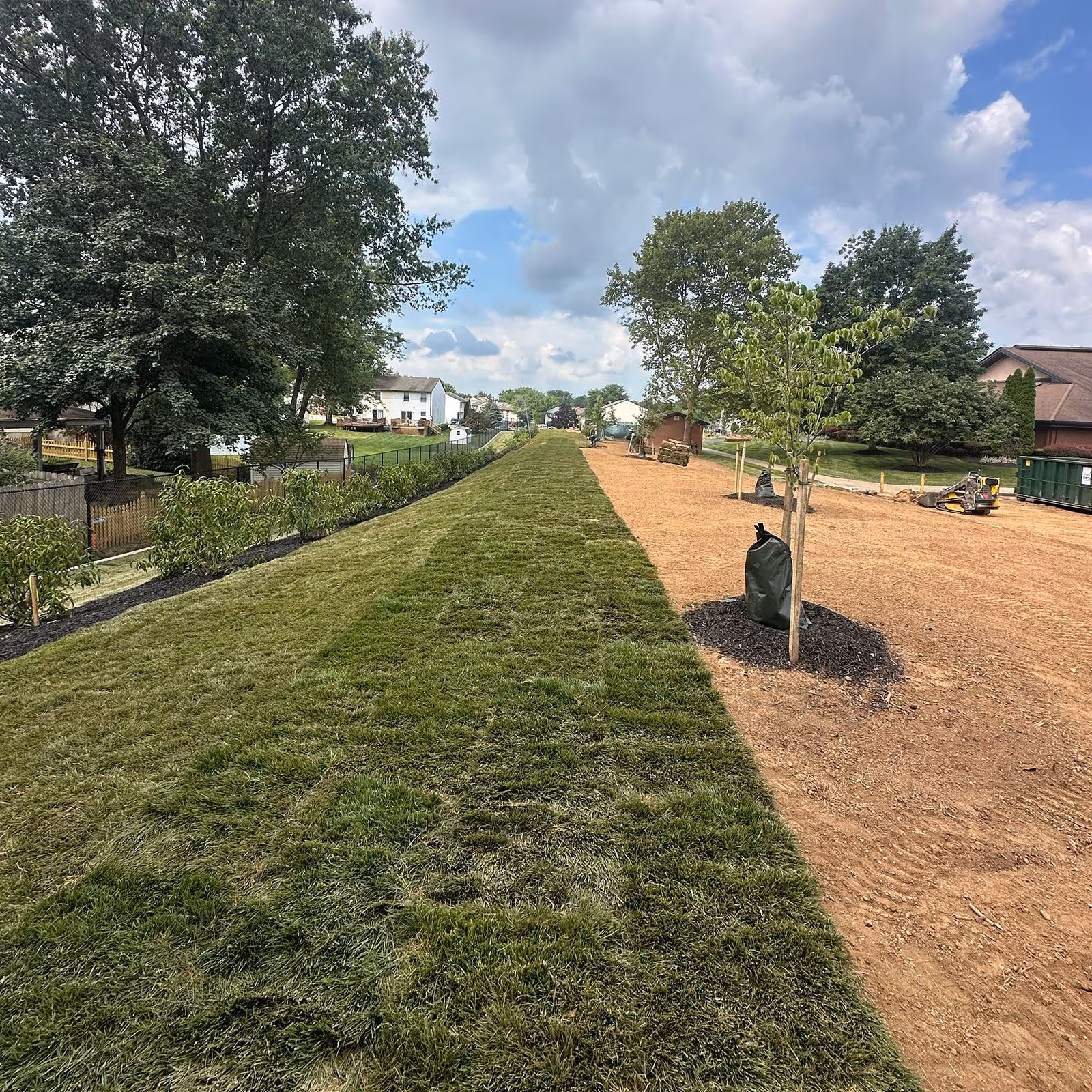 Freshly installed grass near me by professional lawn care company