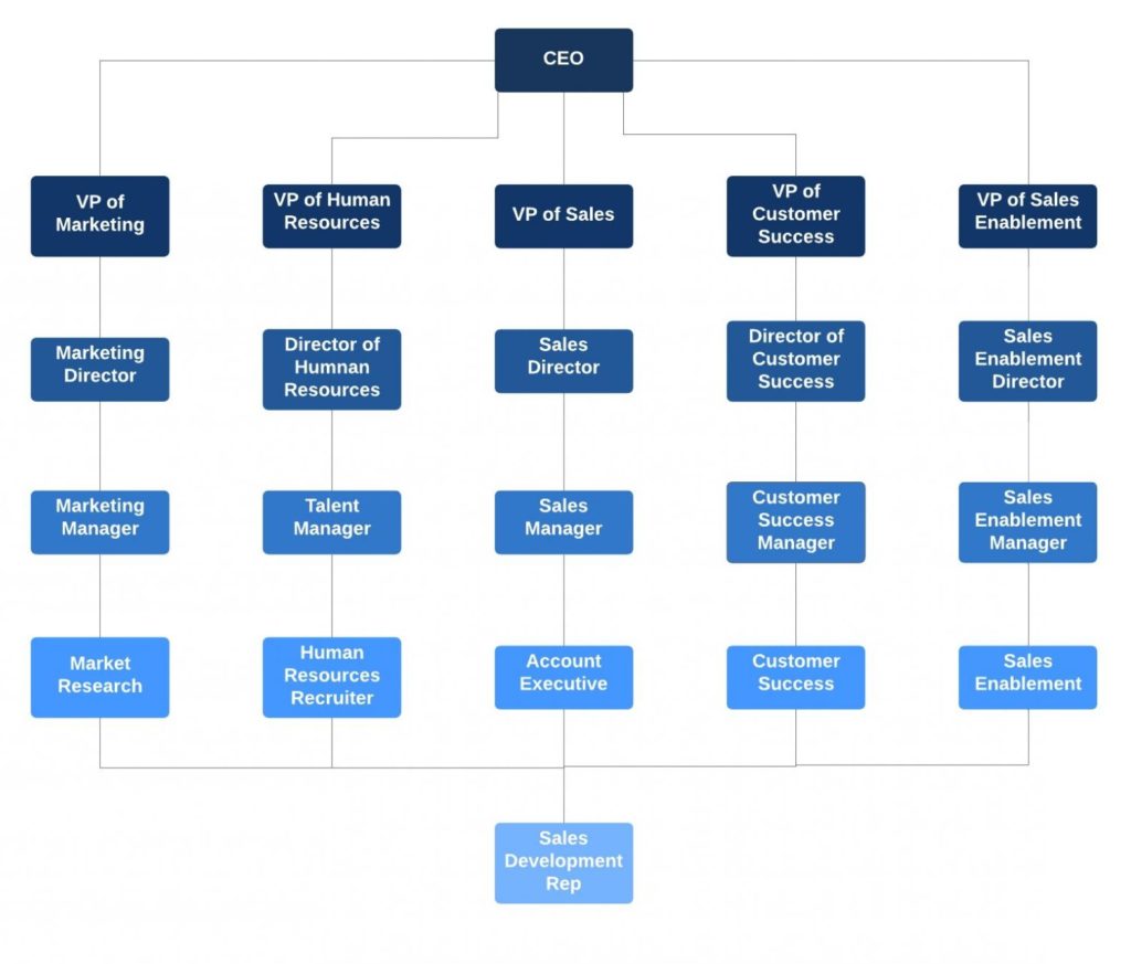 Tech Sales Career Path