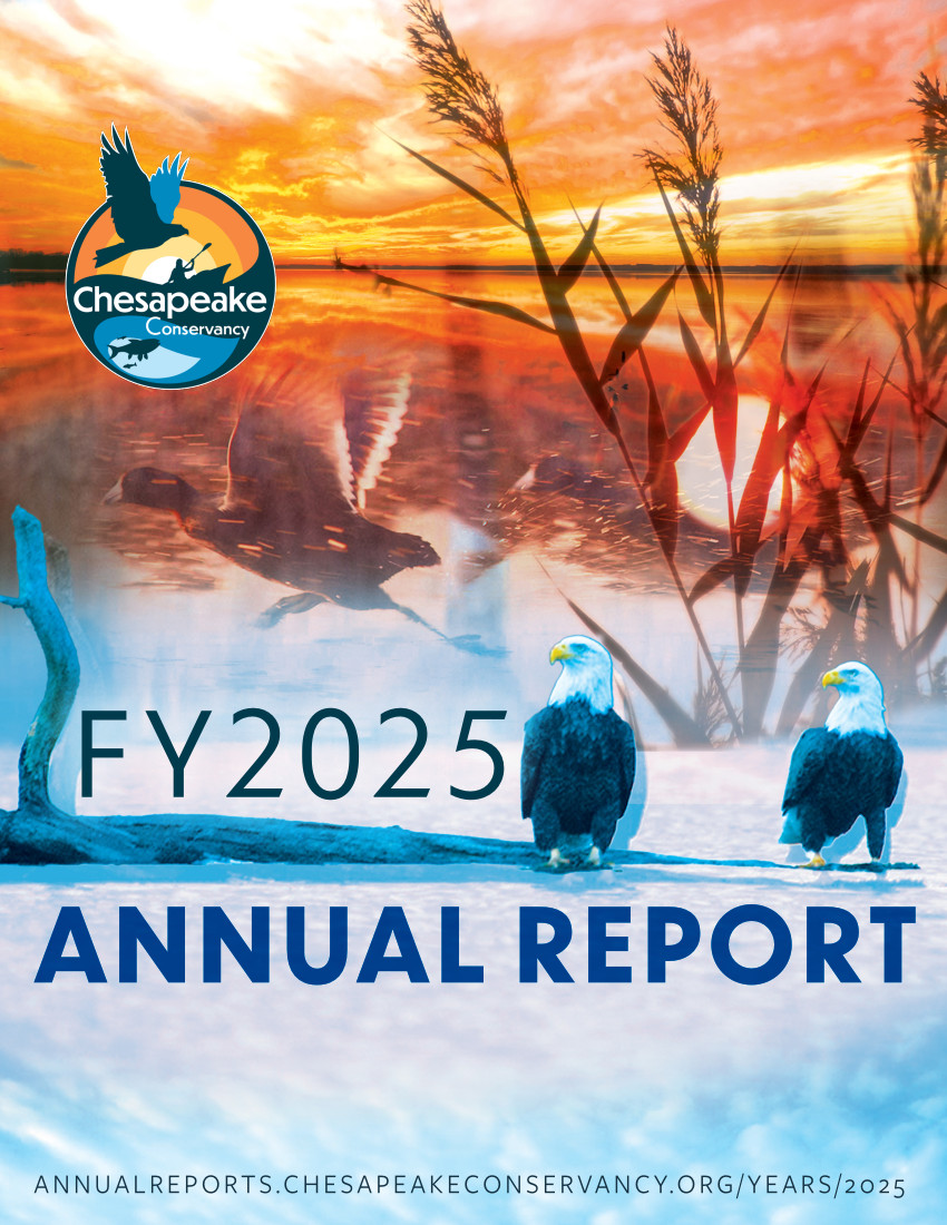 2023 Chesapeake Annual Report
