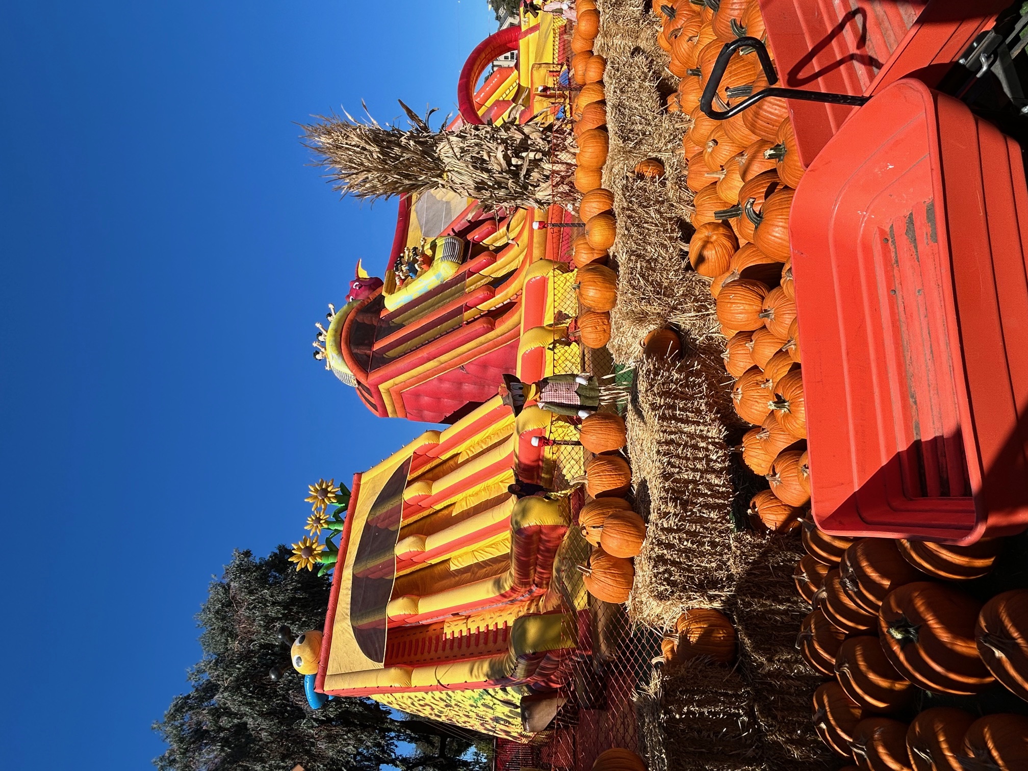 Seasonal Pumpkin Patch Work