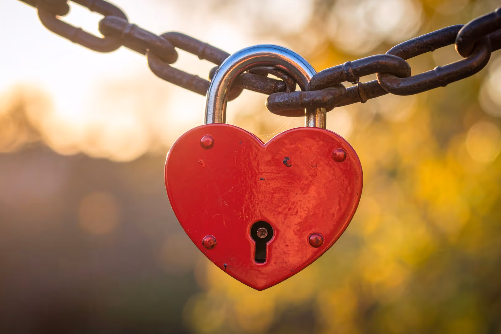 The Four Attachment Styles: What They Are and How They Show Up