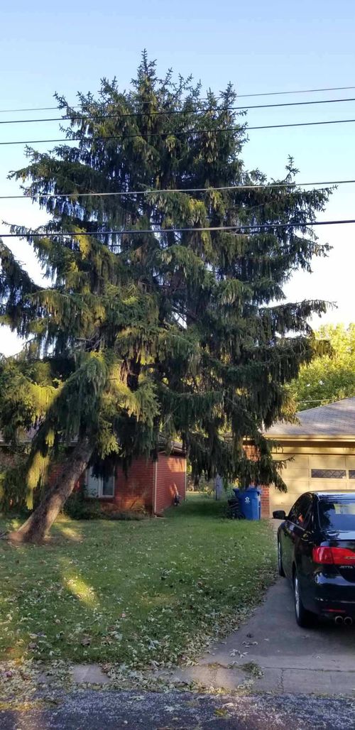 Avoid Months of Waiting by Selling for Cash