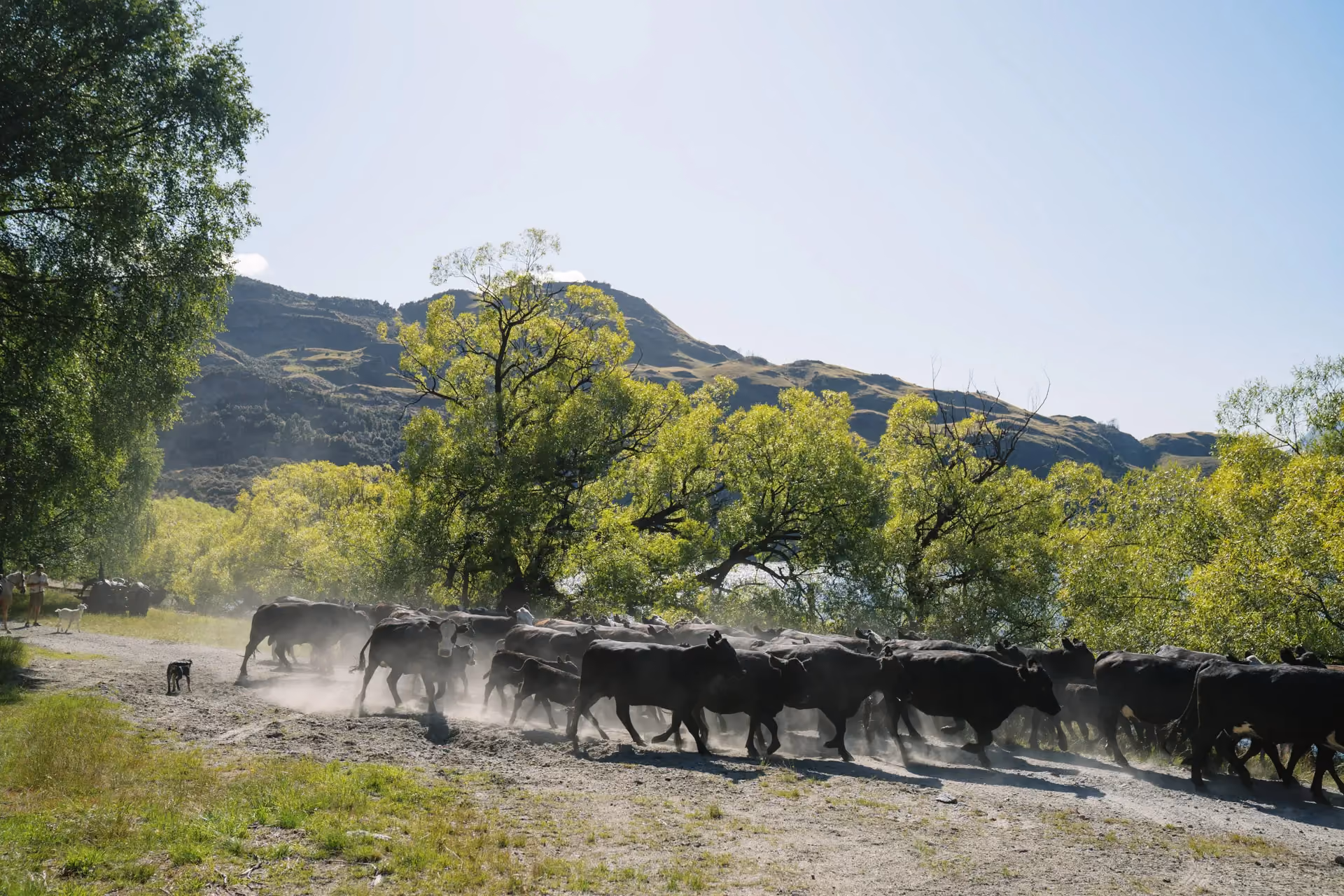 High-Country Station Farm Tour