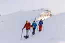 Guided Snowshoe Day Trip