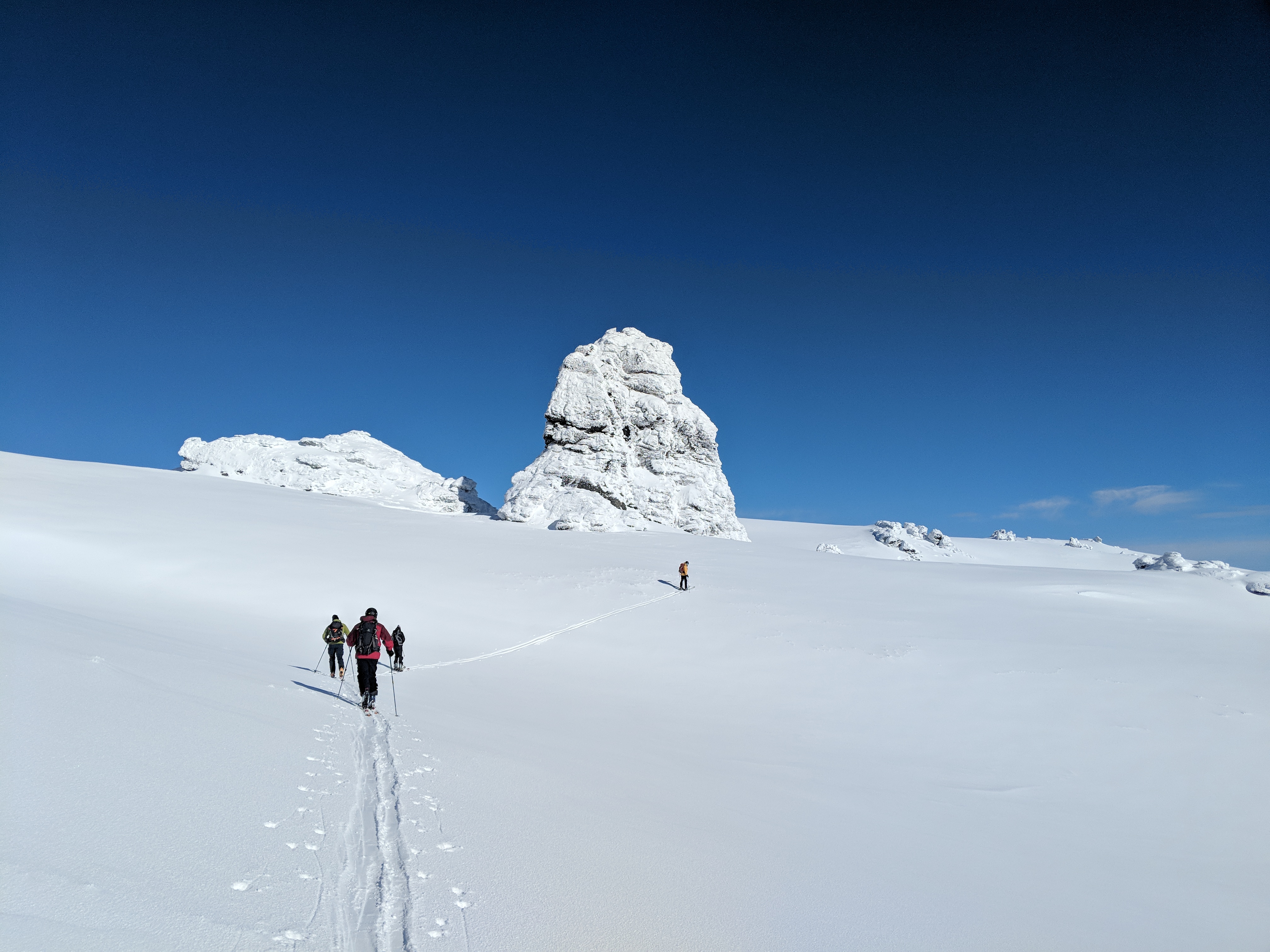 Backcountry Day Tour