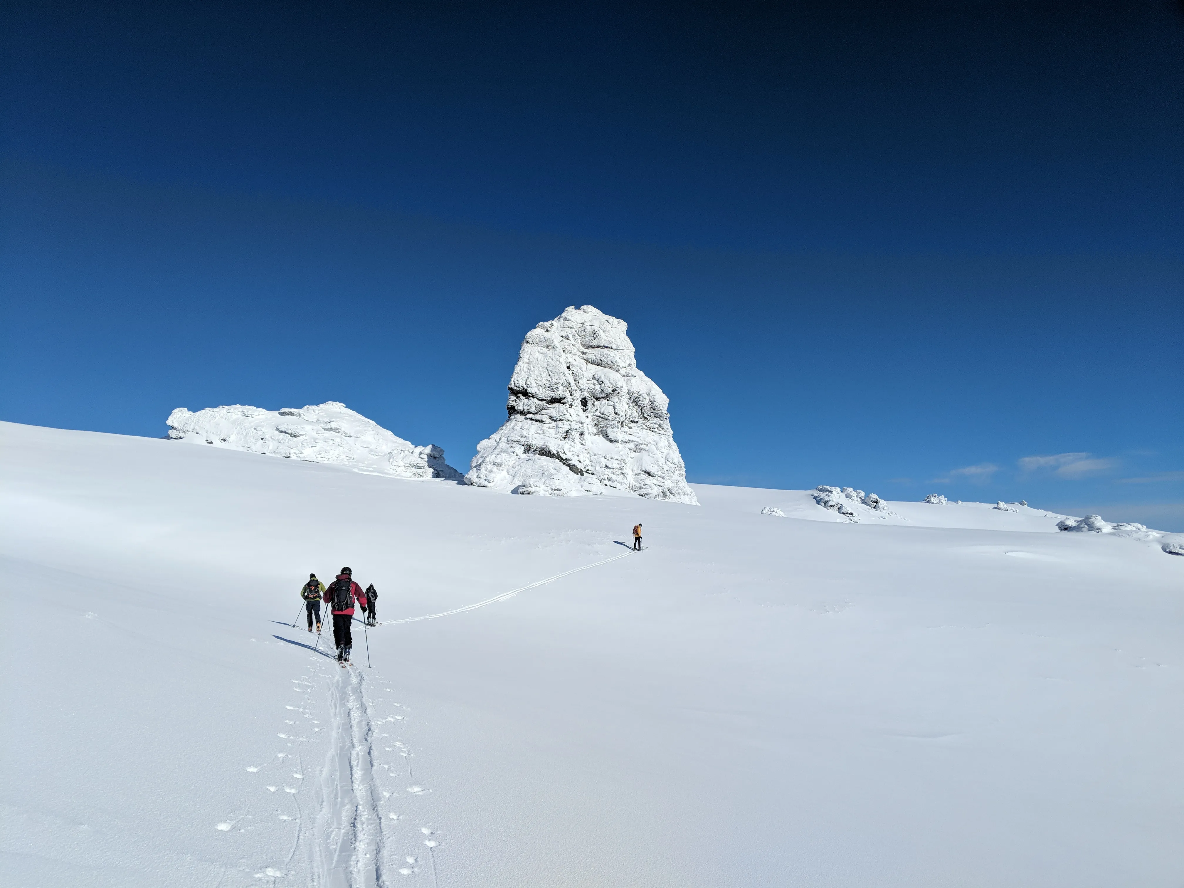 Backcountry Day Tour
