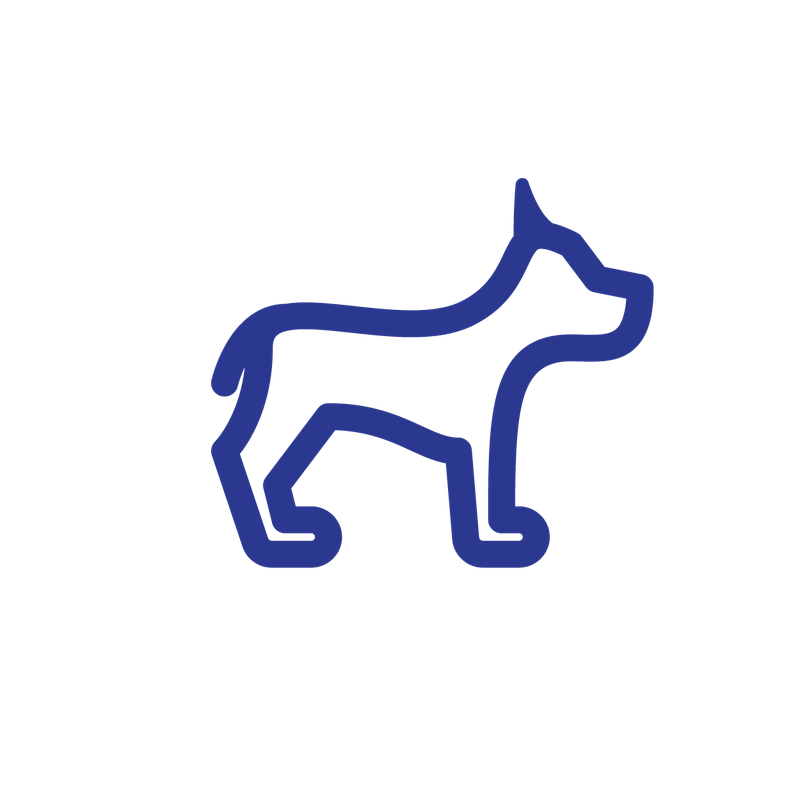 The Best Expert Puppy & Dog Training in San Francisco | SmartyPup!