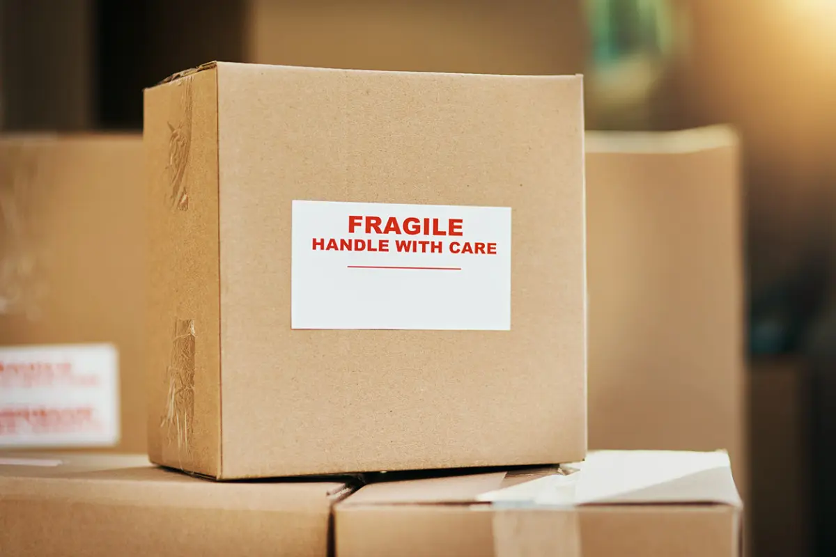 Fragile items carefully wrapped in bubble wrap and packing materials for safe moving